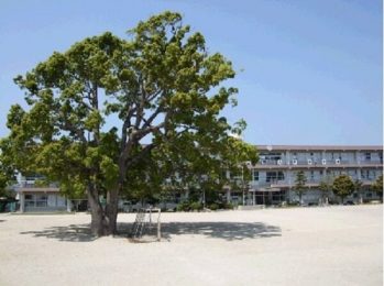 西大村小学校まで徒歩27分