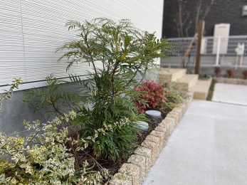佐賀市新築建売住宅【OURS城内】植栽 佐賀市新築建売住宅【OURS城内】植栽