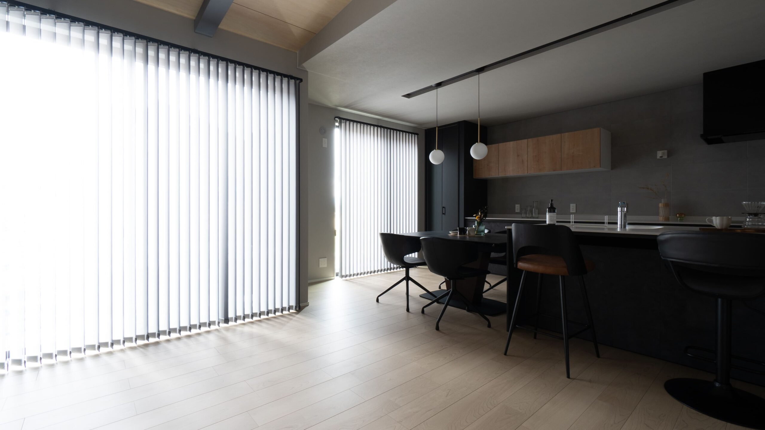 20250215-DSC00030 (1) (1)