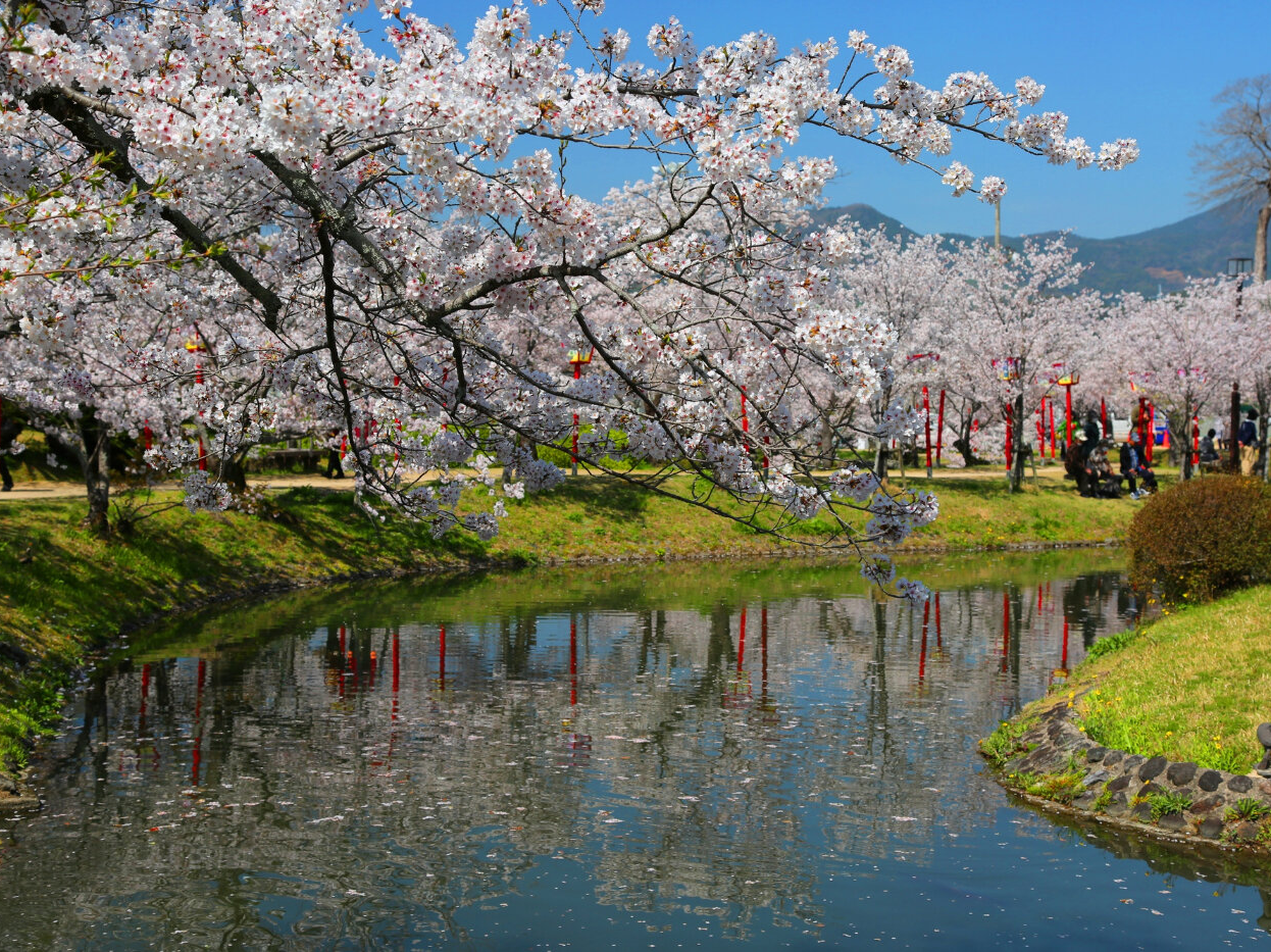 小城市新築建売住宅「OURS桜岡Ⅲ」周辺環境