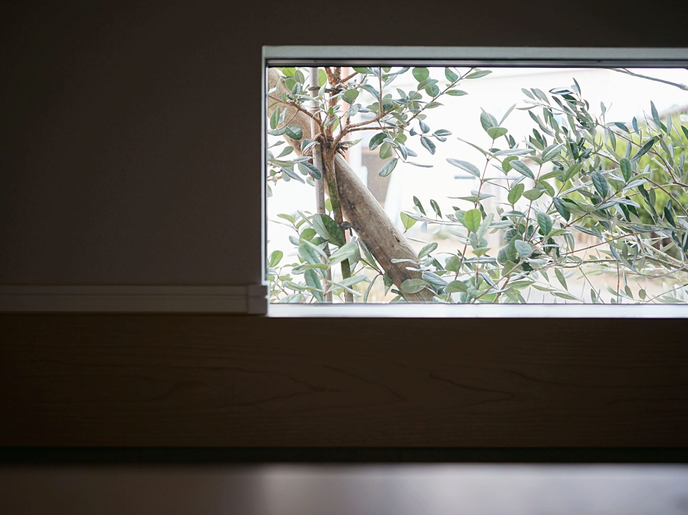 佐賀市新築建売住宅「OURS南佐賀」