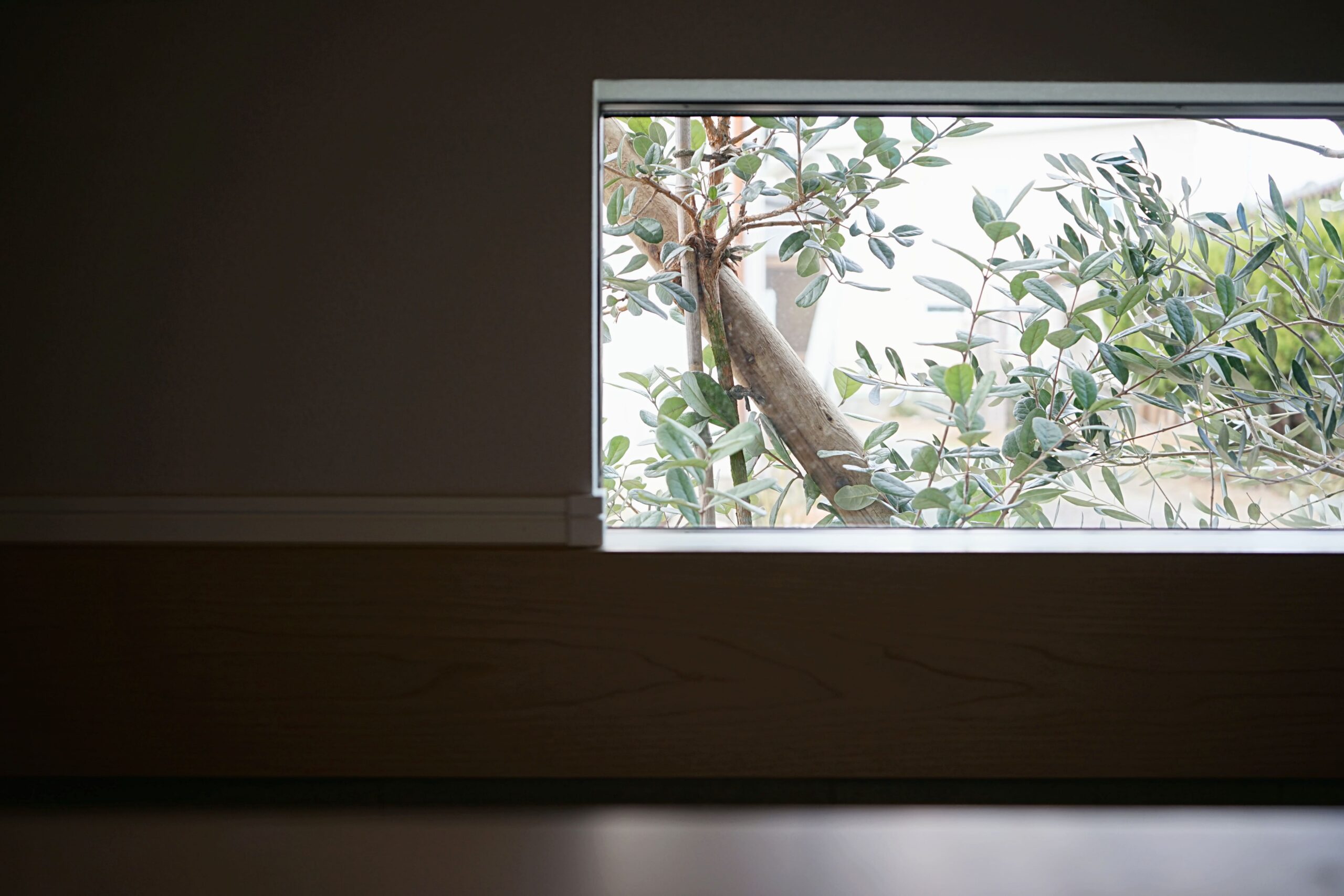 佐賀市新築建売住宅「OURS南佐賀」